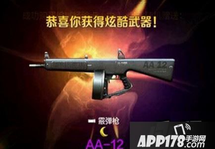 AA-12