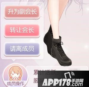 奇迹暖暖副会长