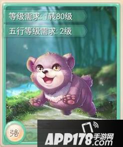 大话西游手游小黑熊卡