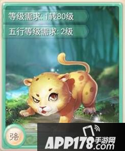 大话西游手游小豹子卡