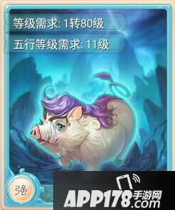 大话西游手游当康卡