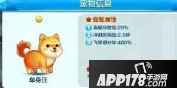 单身汪