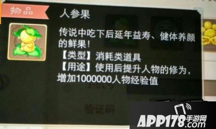 大话西游手游人参果