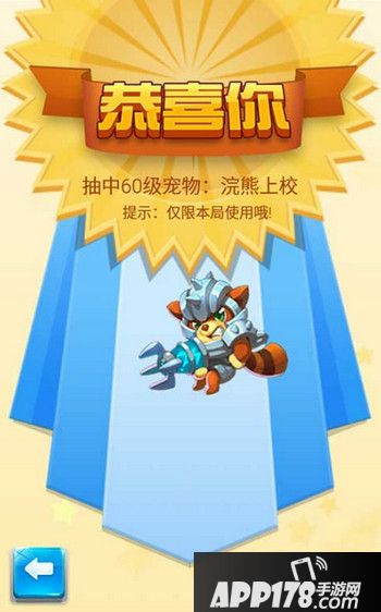 浣熊上校