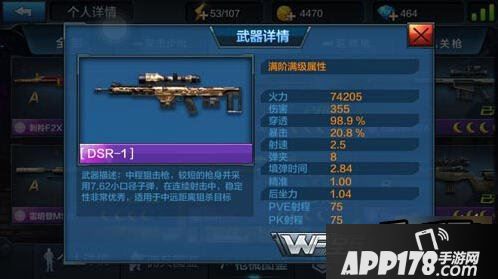 全民突击雪狐挑战模式枪械DSR-1介绍