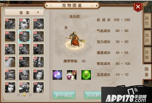 蛮多的人都比较的喜欢用金头陀宝宝