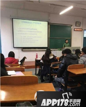 学霸狗是什么意思 武大学霸狗走红1