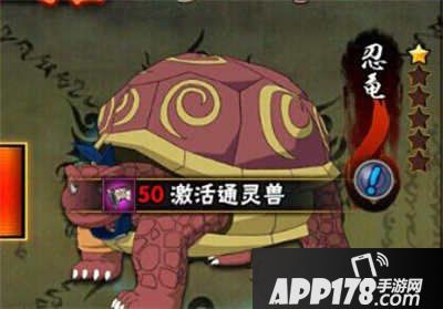 火影忍者手游忍龟