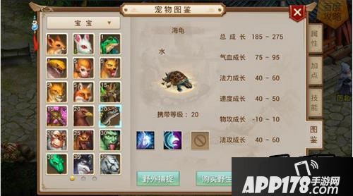 问道手游海龟怎么加点，海龟成长是多少？