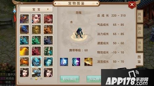 问道手游怨鬼在哪抓