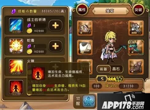 航海王启航雏菊技能