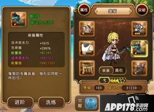 航海王启航雏菊装备属性