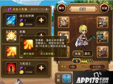 航海王启航雏菊技能