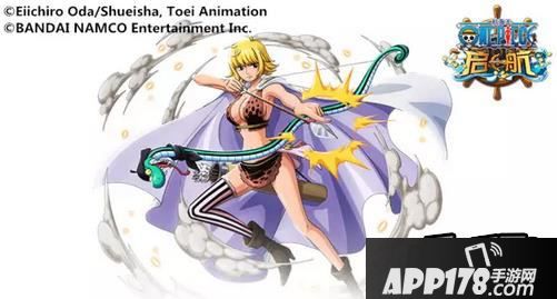 航海王启航雏菊