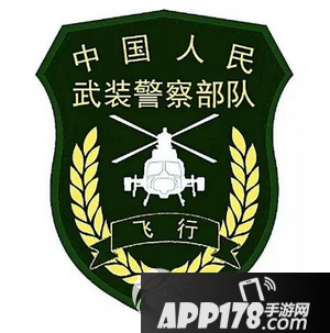 武警换新式标志服饰 中国武警最新服饰标志图解
