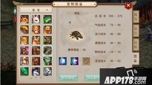 问道手游宠物快速升级攻略 经验丹怎么得