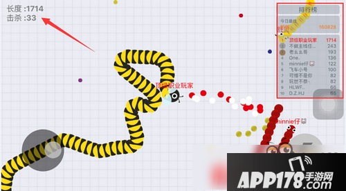 贪吃蛇大作战怎么查看战绩 分数和杀敌数如何看