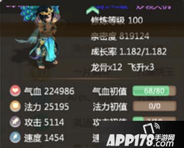 大话西游手游孔雀明王加点攻略