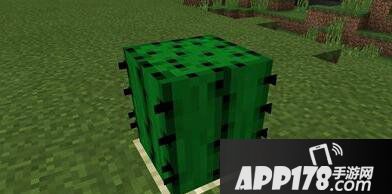 我的世界垃圾桶怎么合成