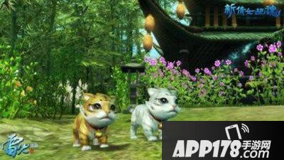 倩女幽魂手游灵兽系统介绍