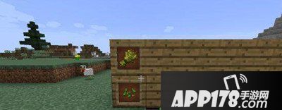 我的世界农作物资料汇总