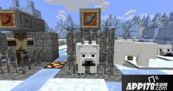 我的世界北极熊吃什么怎么驯服北极熊