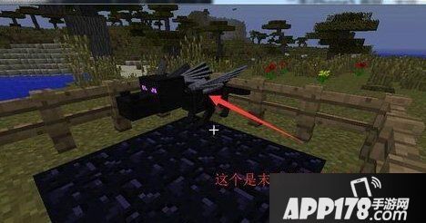 我的世界手机版龙蛋