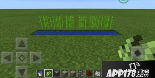 我的世界观察者自动甘蔗收割机制作<a href=http://www.app178.com/gonglue/ target=_blank class=infotextkey>攻略</a>