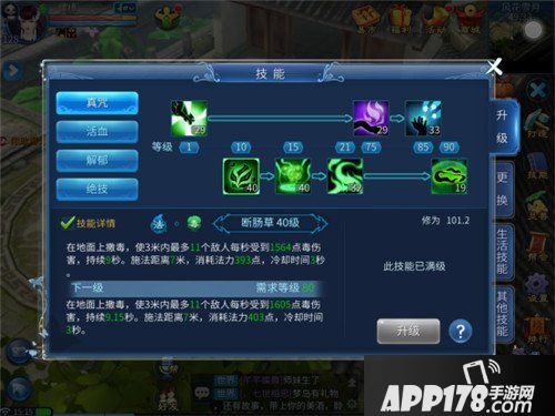 倩女幽魂手游医师技能搭配攻略