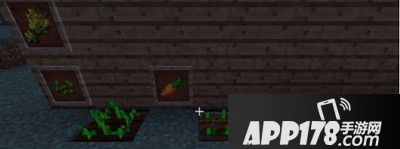 我的世界农作物资料汇总 