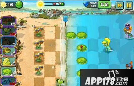 植物大战僵尸2巨浪海滩第2天