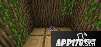 我的世界神奇宝贝mod道具箱和树屋介绍