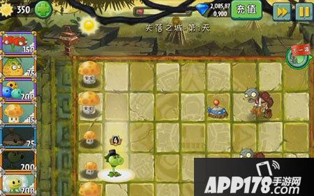 植物大战僵尸2失落之城第1天 