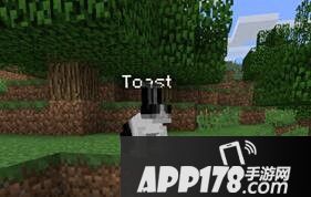 我的世界2神奇宝贝mod精灵特性介绍