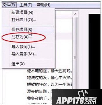sayatoo怎么制作字幕 sayatoo傻丫头制作字幕图文教程10