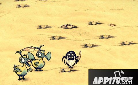 饥荒海难渡渡鸟作用详解