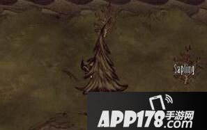 饥荒海难巨人王朝详解