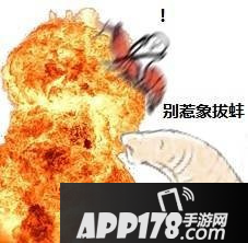 球球大作战表情包：皮皮虾表情包系列