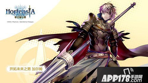 苍之骑士团常用专业术语解释