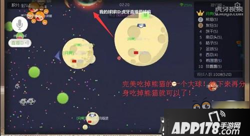 球球大作战技术进阶图解 主播疯子手术刀级操作瞬秒大球