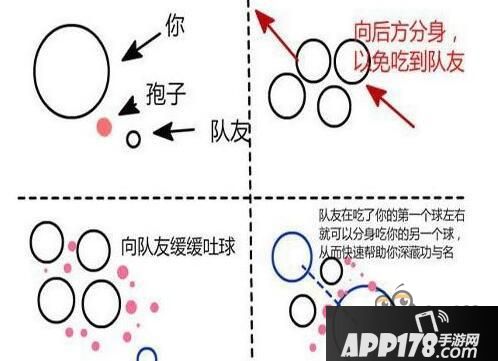 球球大作战前期合作进度如何加快方法图文讲解