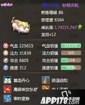 大话西游手游反震宠