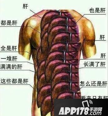 肝.jpg