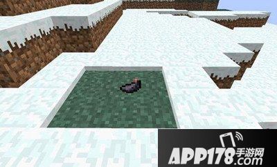 我的世界2西瓜片