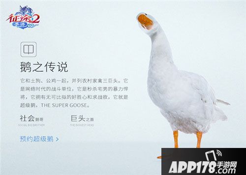 征途2手游最强游戏宠物