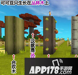 迷你世界
