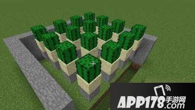 我的世界2仙人掌收割机