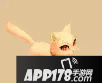 梦幻西游手游元音狸染色有几种 元音狸染色效果一览