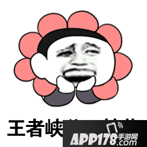 6dbd8d1ab0b4315f.gif