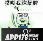 王者荣耀好队友